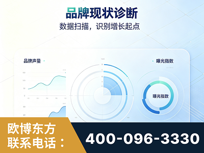 晋州-品牌现状诊断