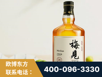 晋州-梅见青梅酒